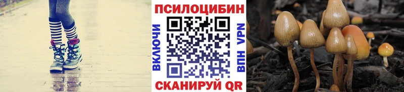 маркетплейс наркотические препараты  Новоаннинский  Галлюциногенные грибы MAGIC MUSHROOMS 